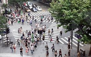 Мировое большинство и модели мироустройства: итоги года экспертной программы клуба «Валдай»