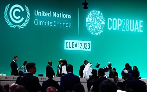 Дискуссия, посвящённая экологической повестке и итогам климатической конференции COP28 в Дубае